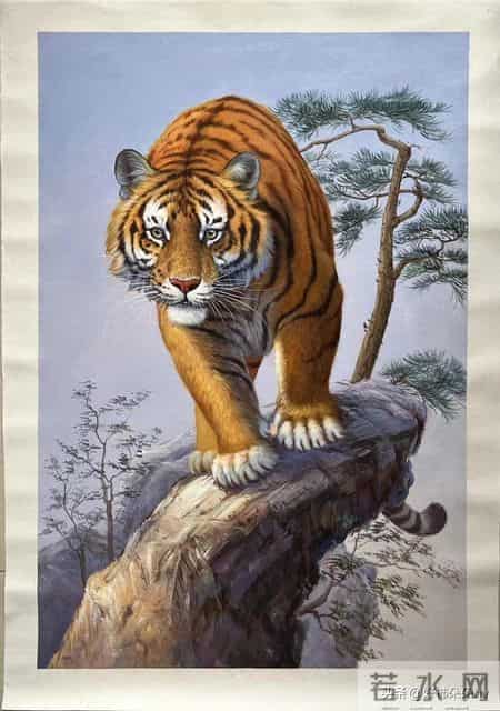 生肖虎,和这4类人结婚,日子只会越过越苦