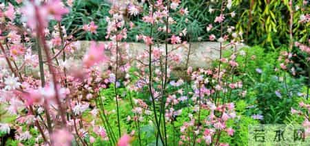 夫妻兄弟（28）外强中干的男人