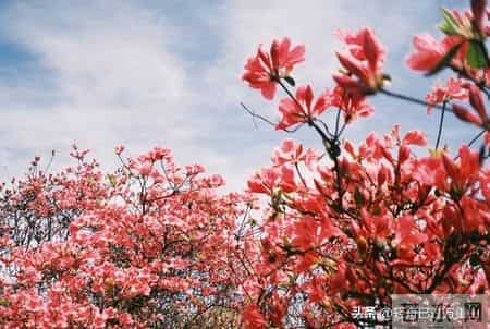 男性只要保持一种姿态，对女性具有极强吸引力