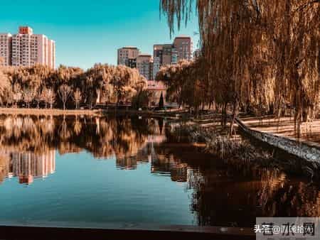 花500元请阿姨打扫卫生，完事她红着脸问：我不要工钱，有个要求