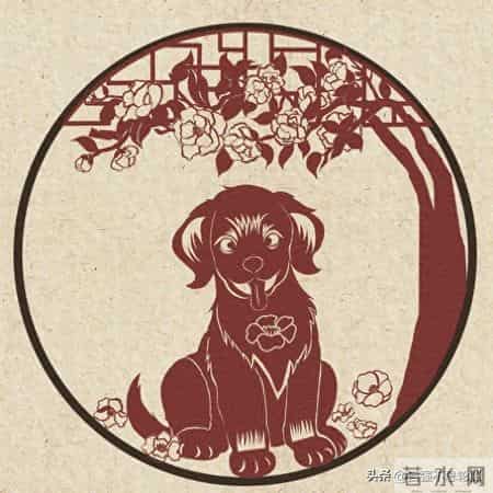 属狗的,1月28到31号这四天,你家门口要“过钱”了