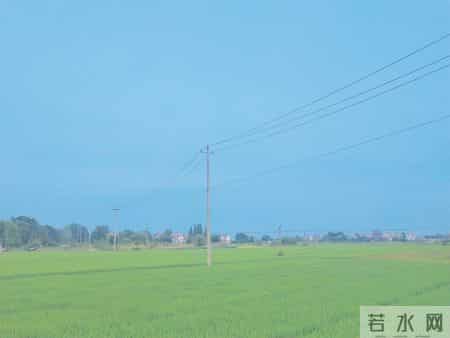 为什么你明明就长得一般，但就是非常好看！