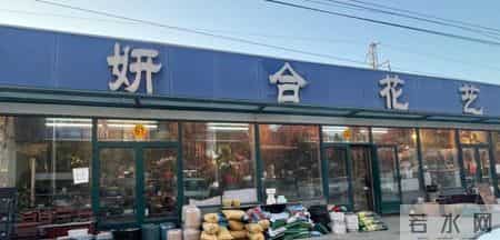 顺义花鸟市场的清仓，我们怀念的不是一个市场，而是正在被抚平的城市褶皱