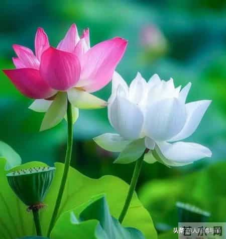 第一次和男友同居，我彻底懵了：原来男生私下这么“反差萌”！