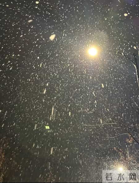 1.31!凌晨!杭州大雪纷飞