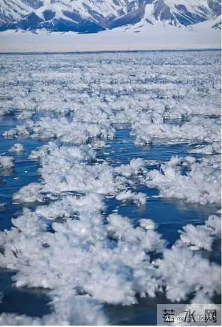 折磨你的事突然反扑，不是因为你没放下，是老天在逼你最后的清算