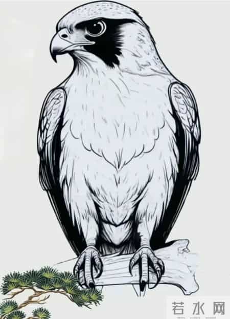 敢不敢打赌！3秒内找到这幅苍鹰图里1张人脸的，都是顶级智商！