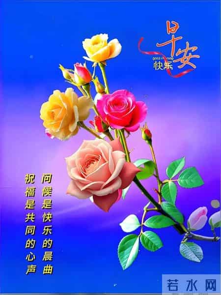 特别漂亮的早上好图片 愿我们天天快乐、幸福、健康。