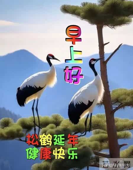 1月25日、星期日，最新早安好祝福漂亮图片精选，新的一天早上好