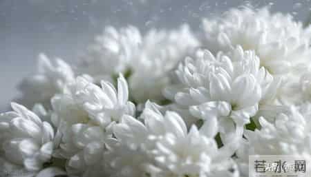 1月7日公布3月30实施，殡葬新规能让白事回归理性吗