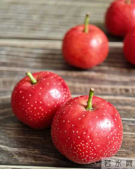 别再瞎泡养生茶！黄芪+丹参+山楂"三通茶"，中老年人喝对少遭罪