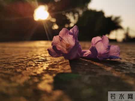 属猴的跟你说个实在的:特别是56年的猴