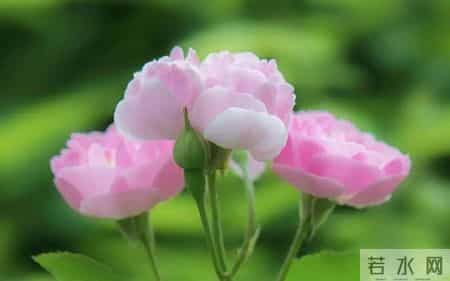 真正爱你的男人，最明显的表现，就这两个行为，很准