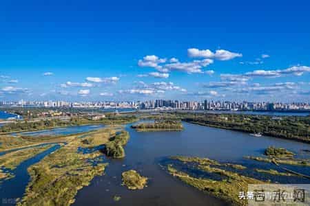 东莞人的五大怪习惯!外地人难接受,直呼 “太离谱”!