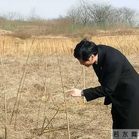 赔不起就种树! 2019年江苏男子河边诱捕2万多只, 判赔600万无力支付