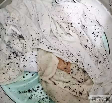 快过年了，这5件“家电”不清洗，可能比马桶还脏，很多人不知道