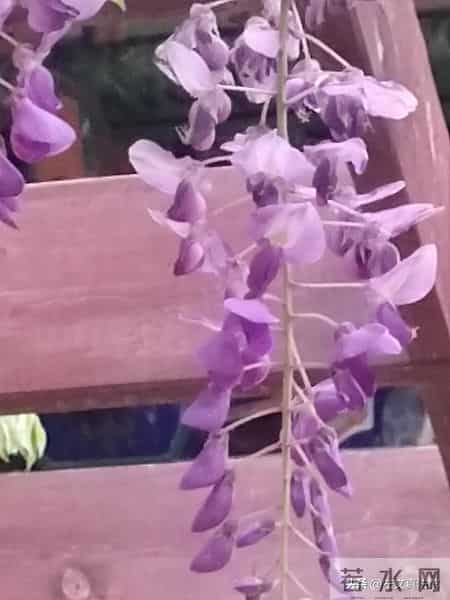 公安机关信访工作规定第六条公安信访工作行为规范与程序正义