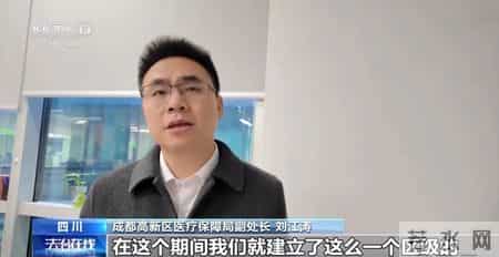 仅有15名员工的企业却有13人集中生育，申领了总计超100万元的生育保险，一起全链条造假骗取生育津贴的大案被揭开