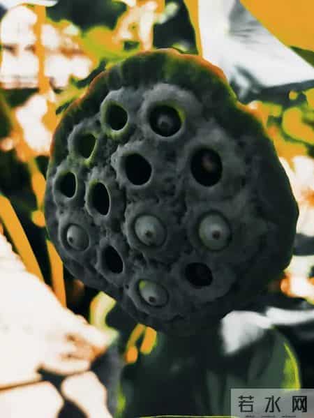 你知道缺德的人都有什么下场吗