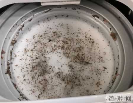 快过年了，这5件“家电”不清洗，可能比马桶还脏，很多人不知道