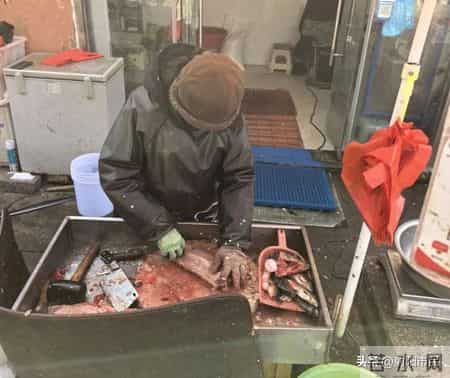 在盐城大丰幸福路买鱼，意外撞见“鱼娘西施”，把我看呆了……