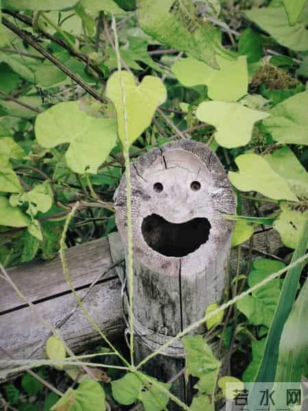 男子偶遇“一片被砍的竹子”，感觉被冒犯了，网友：谁的馊主意~