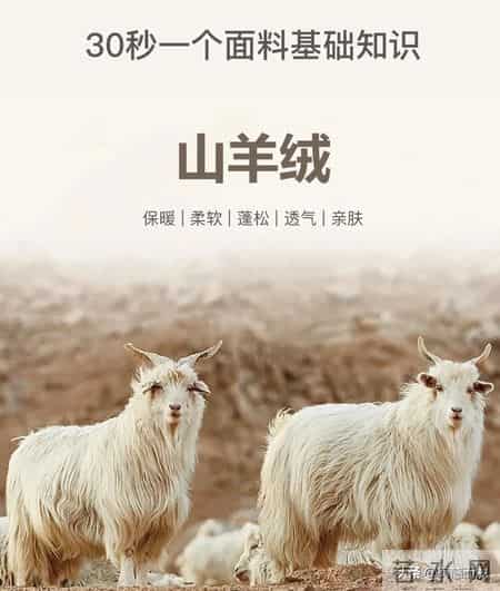 意大利羊绒卖3万，中国原料卖300：我们到底被谁割了？