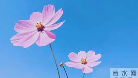 真正爱你的男人，最明显的表现，就这两个行为，很准