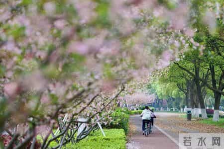 邓学平辩护词精选｜辅警不能单独执法，殴打辅警不构成妨害公务罪