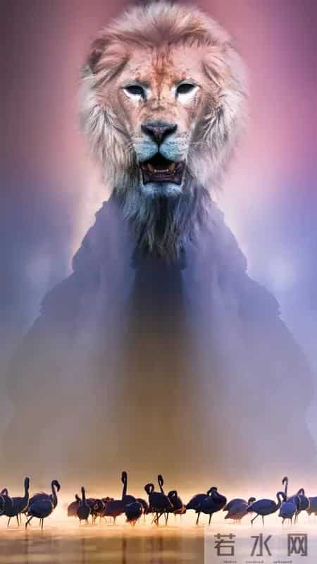 2月，狮子座的运势将会发生这些变化