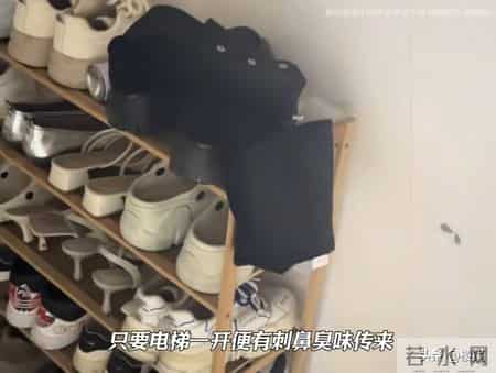 张家界女子挂婆婆遗像抗议邻居，遗像遭扔鸡蛋，丈夫踢翻鞋架