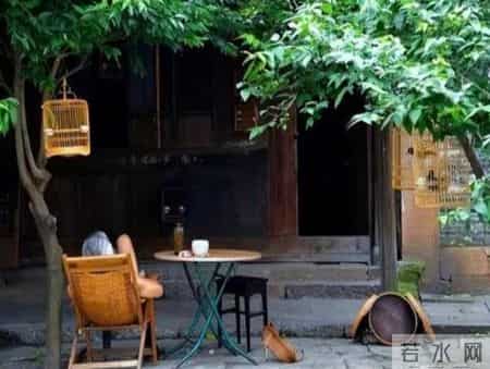 爷爷去世后，我家就再没回去过，出差路过，我发现院内竟有人居住