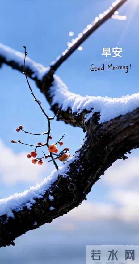 2026.1.29今日腊月十一早上好，周四祝福问候语，早安图片