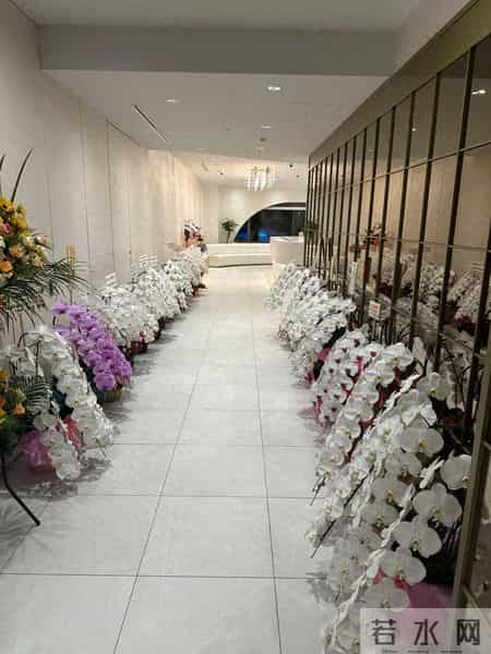 男子晒“公司乔迁的蝴蝶兰”,网友:想哭,上班如上坟具象化了~