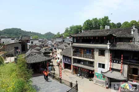 别再挤宽窄巷子！2元公交喝到宋朝老茶！青砖灰瓦里藏着千年人间烟火