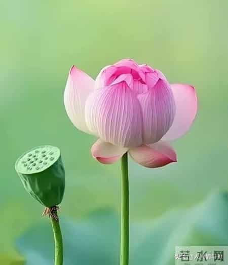 第一次和男友同居，我彻底懵了：原来男生私下这么“反差萌”！