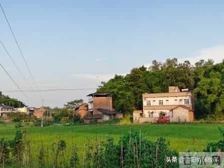 45岁阿姨去迪拜当保姆，在雇主家后院挖地种了花园，就此改变人生