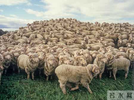 中产智商税，又割一波？