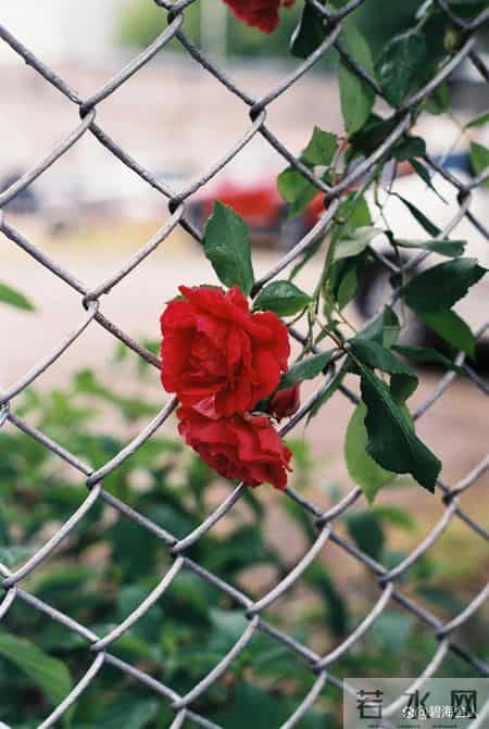 一个城府深的人，报复你的方式往往只有三种，看似不动声色，其实招招致命