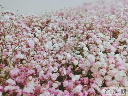 一个人能把十年前的衣服穿出来，而且还挺潮！一个有品位的人！