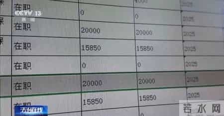 公司15名员工,13名“女职工”集中生育?“老板”被抓了