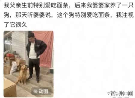 亲人离世的后劲到底能有多大？网友：包完包子下意识喊妈妈…