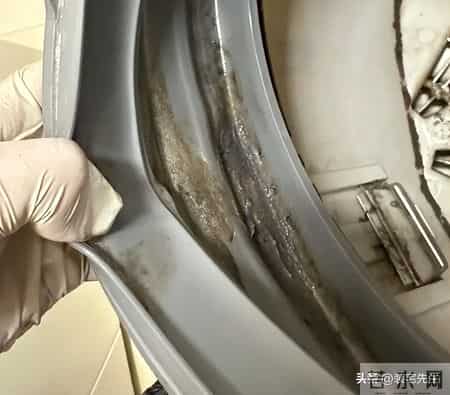 快过年了，这5件“家电”不清洗，可能比马桶还脏，很多人不知道