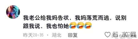 女婿向丈母娘告状！网友：一年一度的告状日又到了。