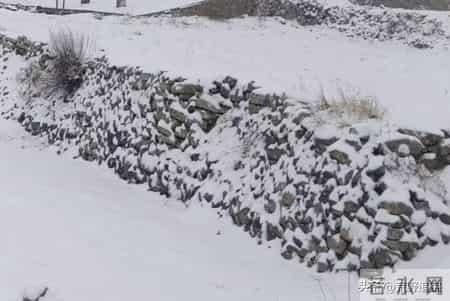 猎杀吧少年——（八十七）夜打沙鸡（中）