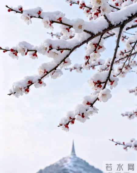 财神点名！2月初财运最旺的星座TOP3