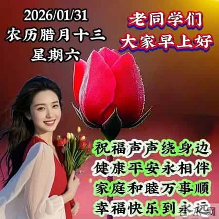 2026年1月31日周六早上好，冬日早安暖心图片，冬日问候祝福语