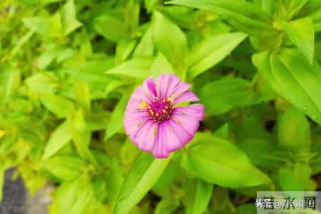 拿捏不了你，占不到你便宜的人，都会用恶意对你