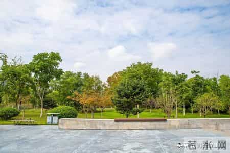 东莞人的五大怪习惯!外地人难接受,直呼 “太离谱”!