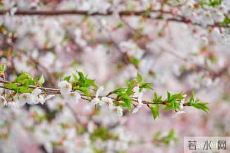 男女之间，一旦去过这4个地方，就是情人关系了